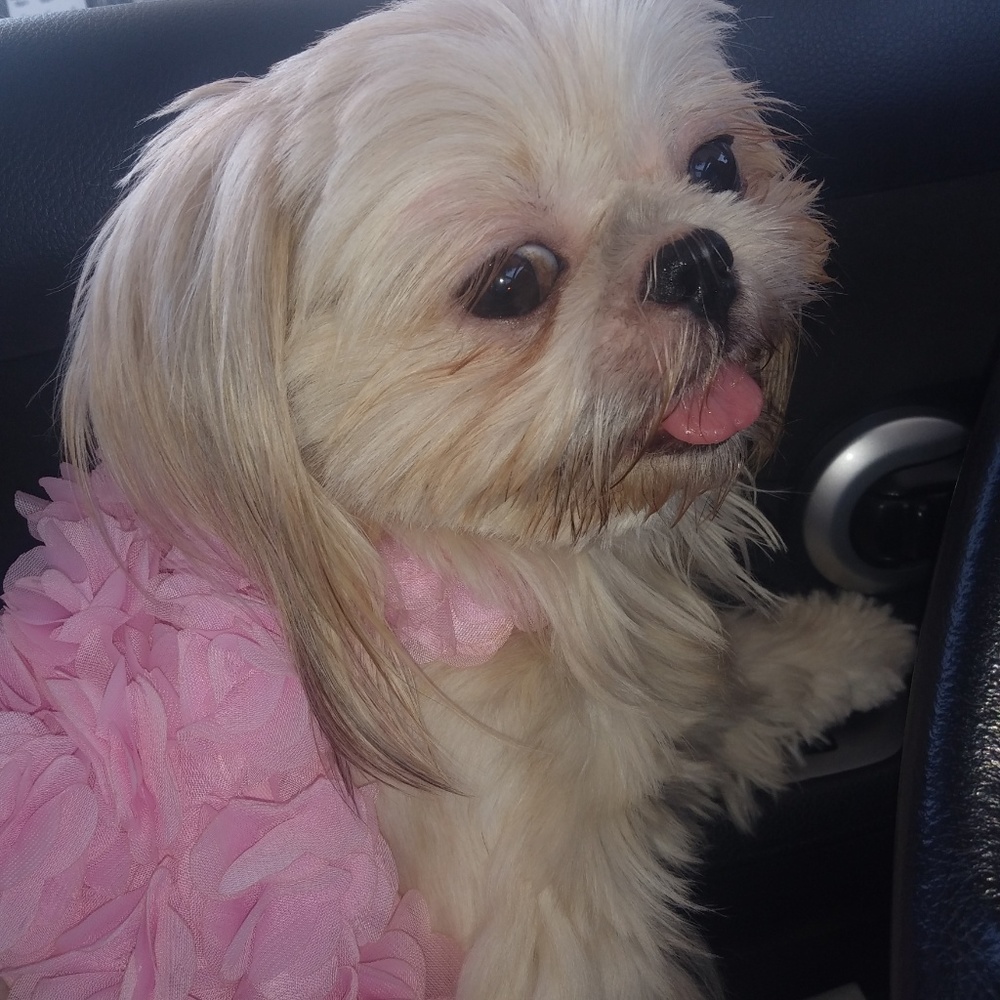 Meet your Top Posher, Dede - Picture 2 of 5